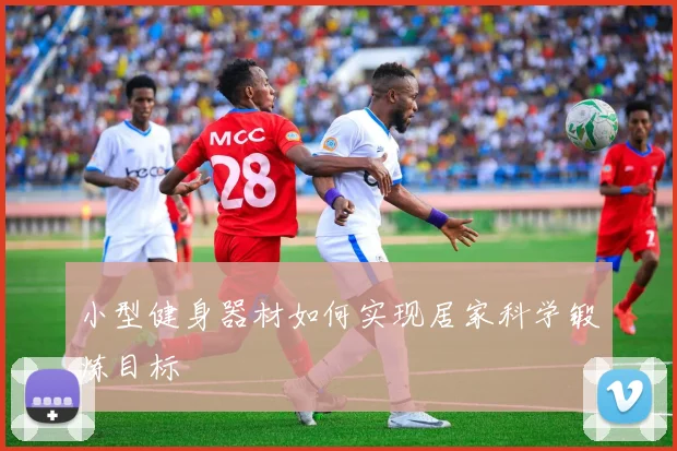 小型健身器材如何实现居家科学锻炼目标