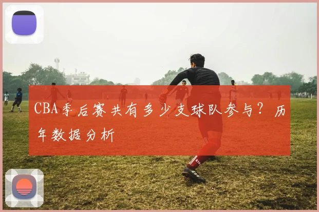 CBA季后赛共有多少支球队参与？历年数据分析