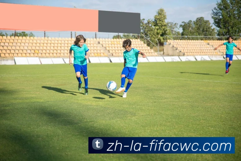 世界杯在线观看平台生态图